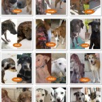 Tierra de Animales Cancun