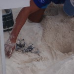 Turtles hatching in Cancun