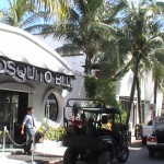 Mosquito Blue Hotel Playa del Carmen