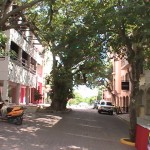 Playa del Carmen 5th Ave.